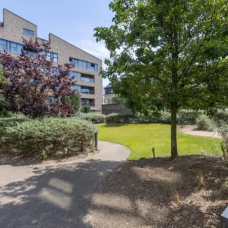 Lecomte - New Helmond 219